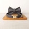 Personalized Bowtie Cat Collar Custom Engraved Nameplate Safety Necklace With Bell For Kittens Sm 13