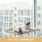 Sunny Window Mounted Cat Hammock HeavyDuty Aerial Hanging Window Seat For Indoor Kittens Cats 0