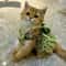 Romantic Floral Pet Summer Dress Charming Bowknot Party Outfit For Cats Small Dogs 4