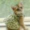Romantic Floral Pet Summer Dress Charming Bowknot Party Outfit For Cats Small Dogs 5