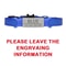 Customized Personalized ID Breakaway Cat Collar With LaserEngraved Safety Plate 10