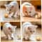 Smart SelfMoving Electric Mouse Cat Toy Interactive ObstacleAvoiding Robotic Hamster For Indoor Ki 5