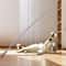 Telescopic Carbon Fiber Cat Wand Toy 4
