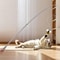 Telescopic Carbon Fiber Cat Wand Toy 4