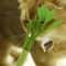 Natural Catnip Molar Stick Toy With Interactive Jingle Bell 1