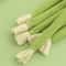Natural Catnip Molar Stick Toy With Interactive Jingle Bell 4