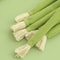 Natural Catnip Molar Stick Toy With Interactive Jingle Bell 4
