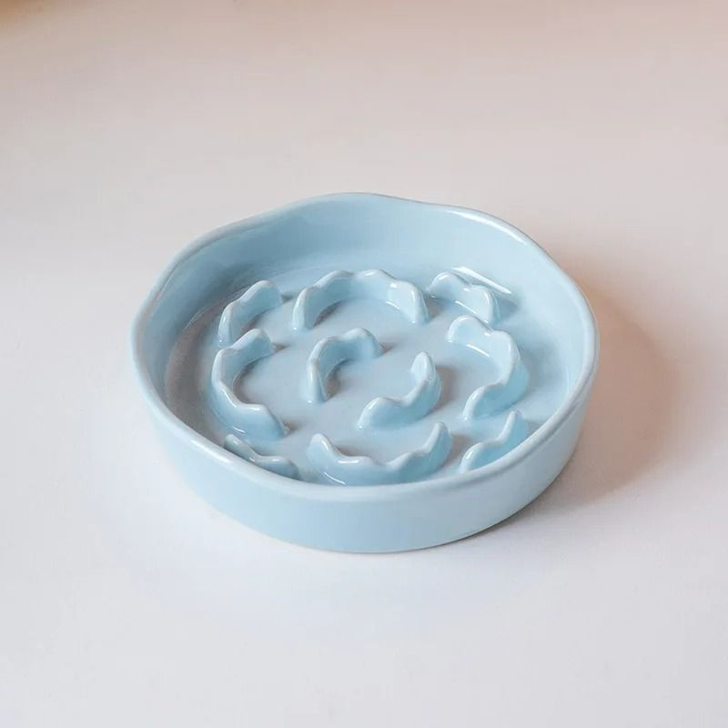 Hygienic Elevated Ceramic Slow Feeder Cat Bowl 9