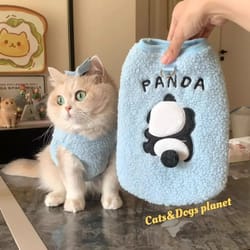 cozy winter soft knit cat pullover sweater