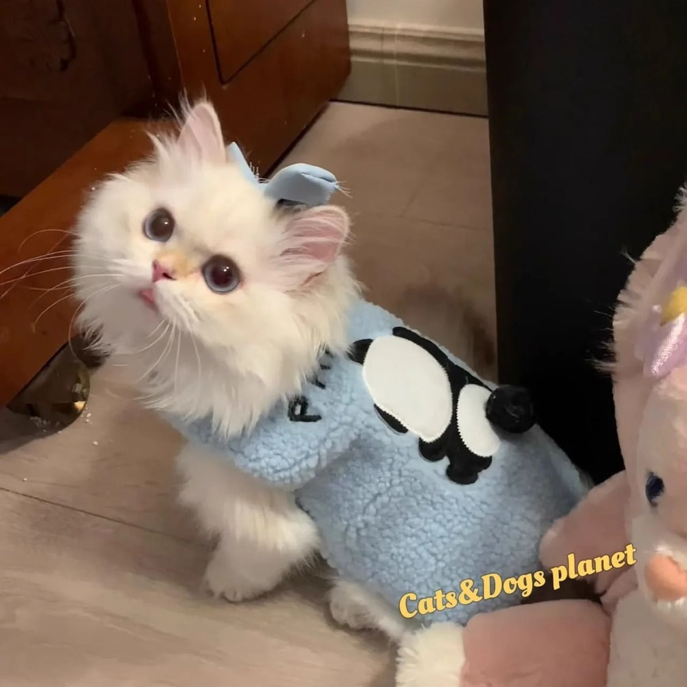 Cozy Winter Soft Knit Cat Pullover Sweater 3