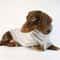 Cozy Dachshund Small Dog Fleece Pullover Sausage Hoodie 0