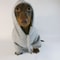Cozy Dachshund Small Dog Fleece Pullover Sausage Hoodie 7