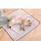 SelfAdhesive Cartoon Printed Cat Grooming Restraint Wrap Fabric 1