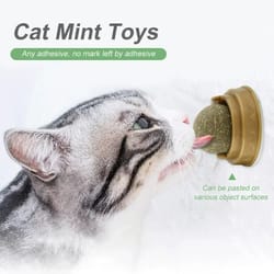 rotatable wall-mounted natural catnip ball toy