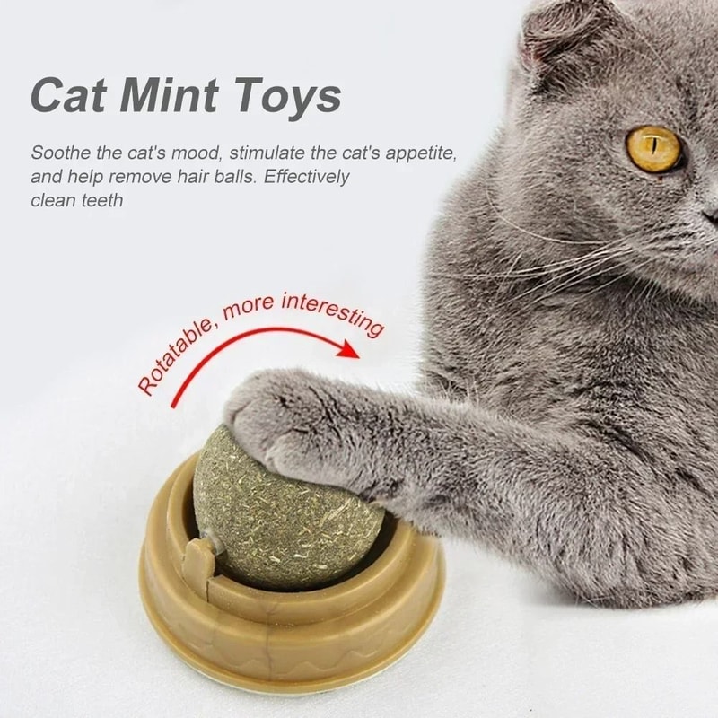 Rotatable WallMounted Natural Catnip Ball Toy 1