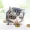Rotatable WallMounted Natural Catnip Ball Toy 2