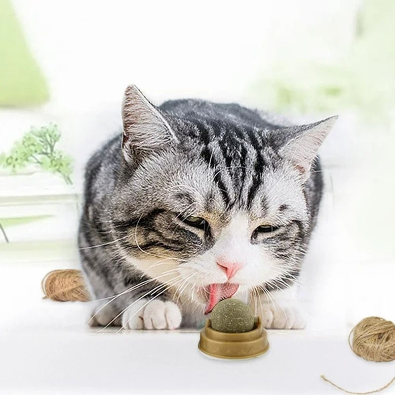Rotatable WallMounted Natural Catnip Ball Toy 2