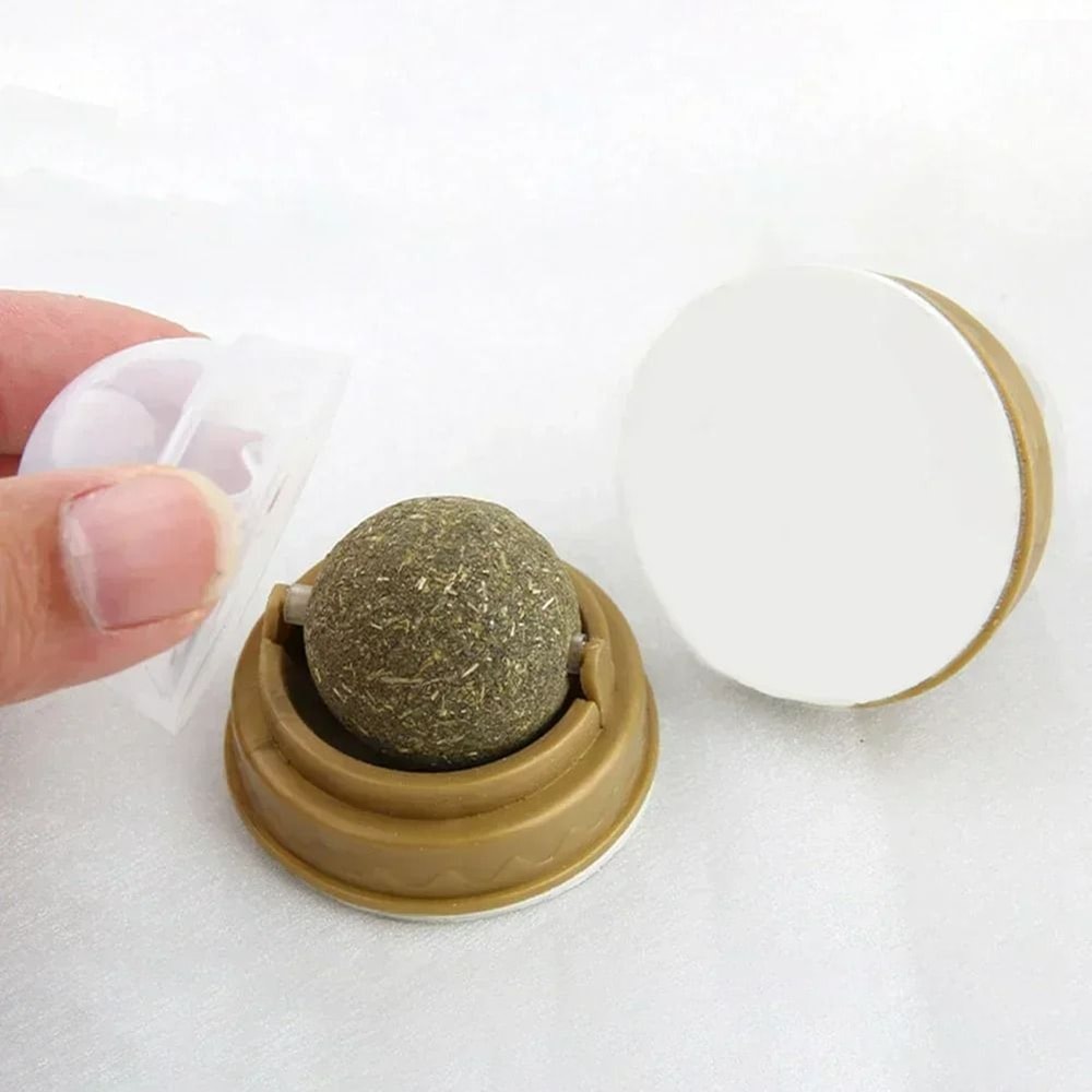 Rotatable WallMounted Natural Catnip Ball Toy 3