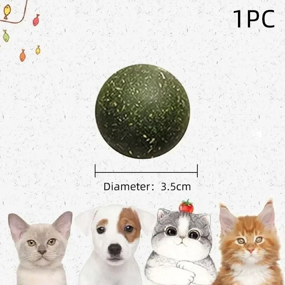 Rotatable WallMounted Natural Catnip Ball Toy 4