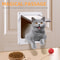 4Way Locking Interior Pet Flap Door 5