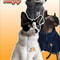 Winter Thick Warm ThreeColor Lambswool Pet Coat 0