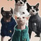 Winter Thick Warm ThreeColor Lambswool Pet Coat 1