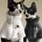 Winter Thick Warm ThreeColor Lambswool Pet Coat 3