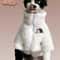 Winter Thick Warm ThreeColor Lambswool Pet Coat 4