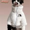 Winter Thick Warm ThreeColor Lambswool Pet Coat 4