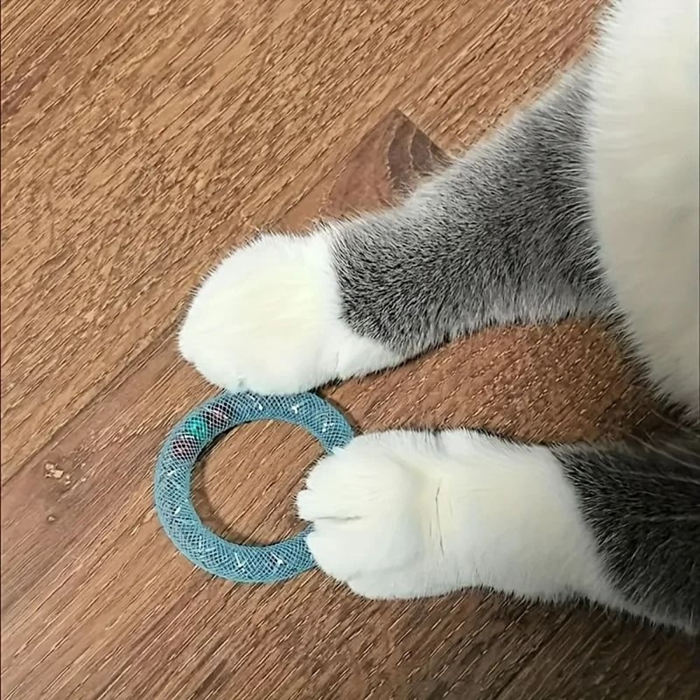 Bouncing Sweet Donut Spring Cat Toy 1