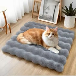 four-seasons cozy plush pet mat