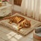FourSeasons Cozy Plush Pet Mat 2