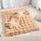 FourSeasons Cozy Plush Pet Mat 6