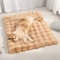 FourSeasons Cozy Plush Pet Mat 6