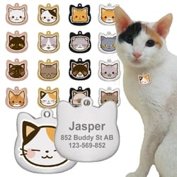 cute personalized stainless steel cat identification tags