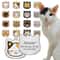 Cute Personalized Stainless Steel Cat Identification Tags 0