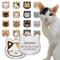 Cute Personalized Stainless Steel Cat Identification Tags 0