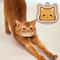 Cute Personalized Stainless Steel Cat Identification Tags 5
