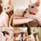 Breathable Mesh Adjustable Pet Harness Leash Set 1