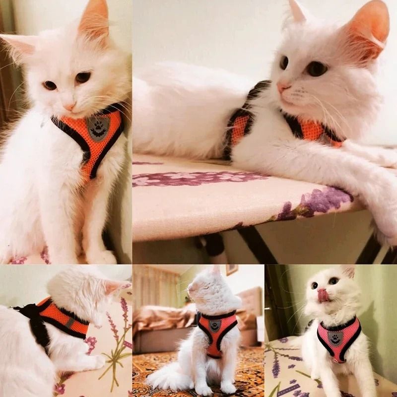 Breathable Mesh Adjustable Pet Harness Leash Set 1