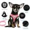 Breathable Mesh Adjustable Pet Harness Leash Set 2