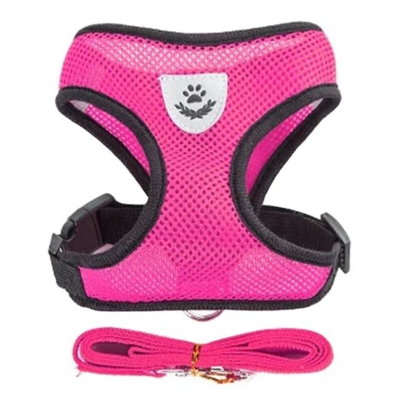 Breathable Mesh Adjustable Pet Harness Leash Set 10