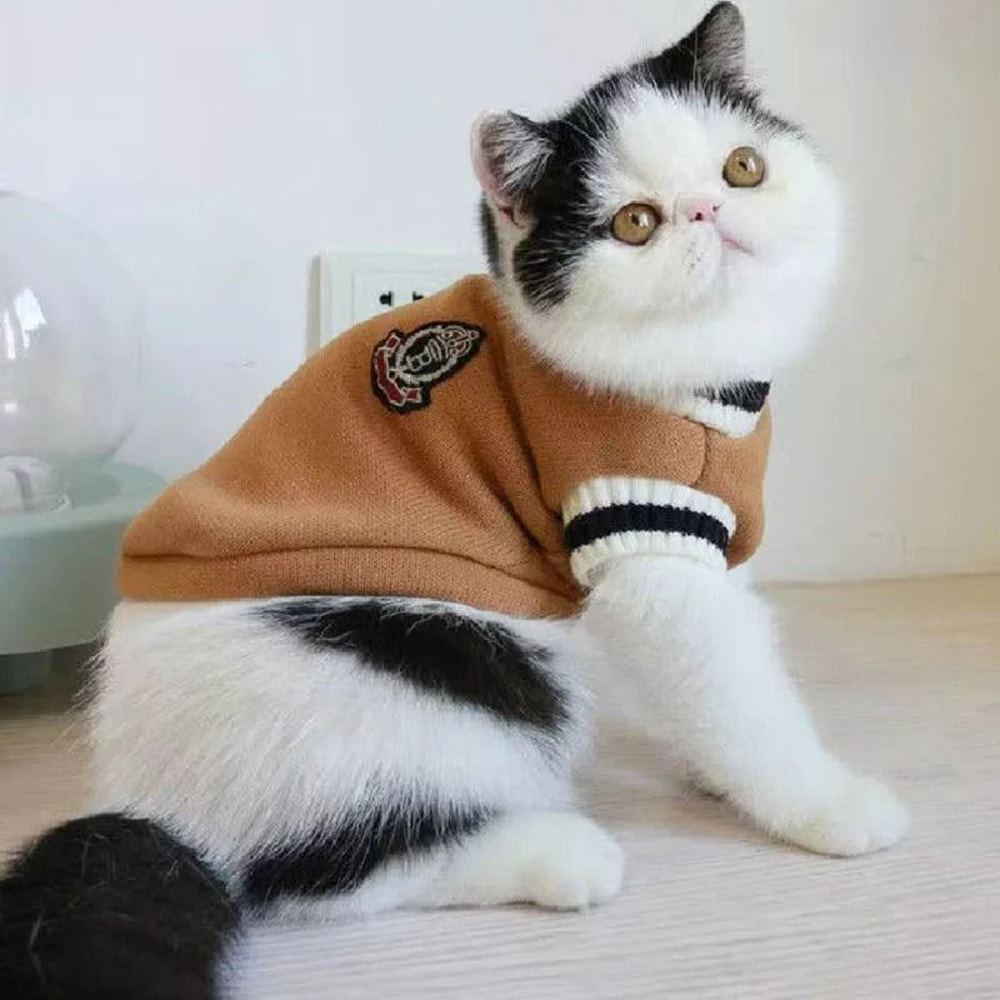 Cozy Winter Knit Pet Pullover Sweater 4