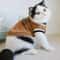 Cozy Winter Knit Pet Pullover Sweater 4