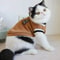 Cozy Winter Knit Pet Pullover Sweater 4