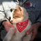 Adjustable TriBandana Pet Collar With PU Leather 1