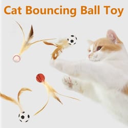 interactive bouncy ball cat toy with feathers