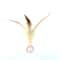 Interactive Bouncy Ball Cat Toy With Feathers 7