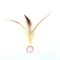 Interactive Bouncy Ball Cat Toy With Feathers 7