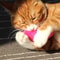 Interactive Plush Catnip Thumb Toy For Chewing Teeth Grinding 5